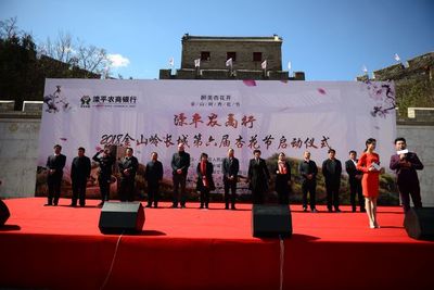 金山嶺上杏花雪，承德春韻醉游人——2018承德賞花季暨第六屆金山嶺長城杏花節盛大啟幕